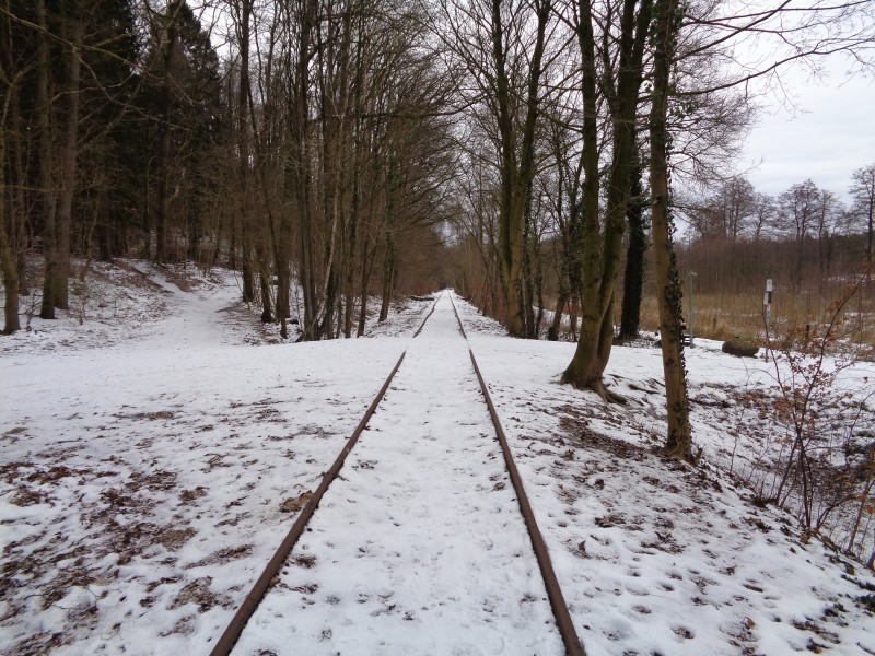 ZWNEGI3